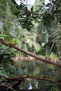 Botanická zahrada Teplice (3)